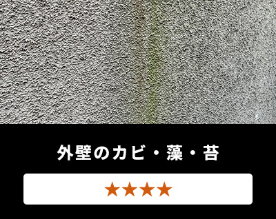 外壁のカビ・藻・苔